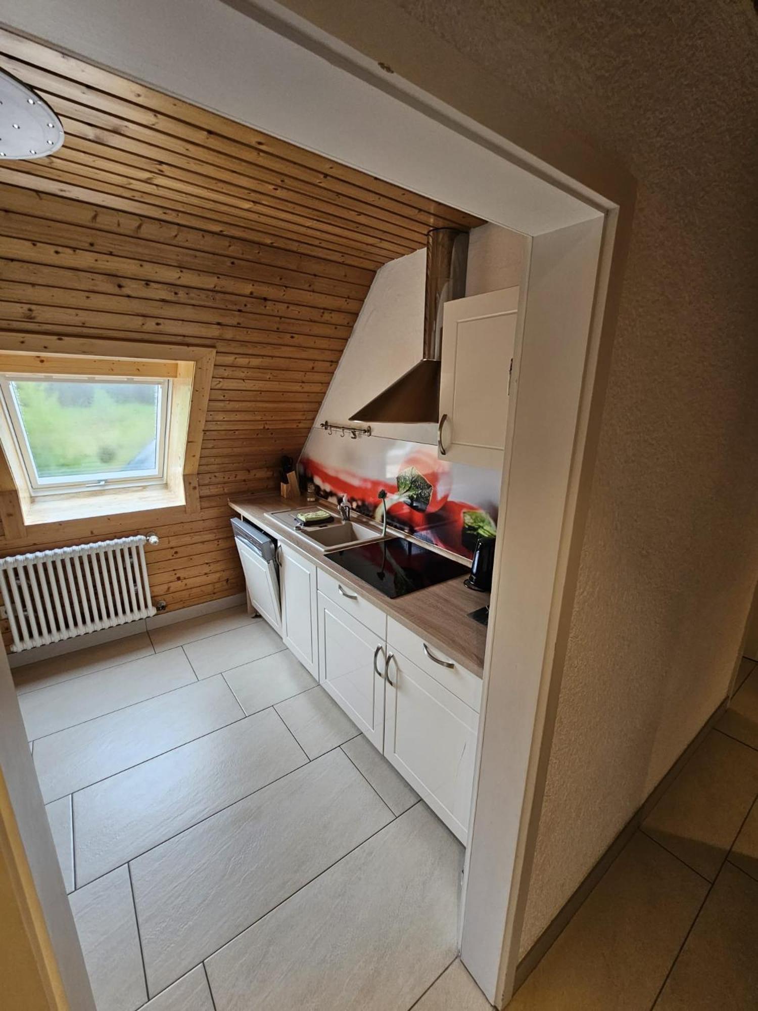 Stuub Jostal Apartment Titisee-Neustadt Exterior foto